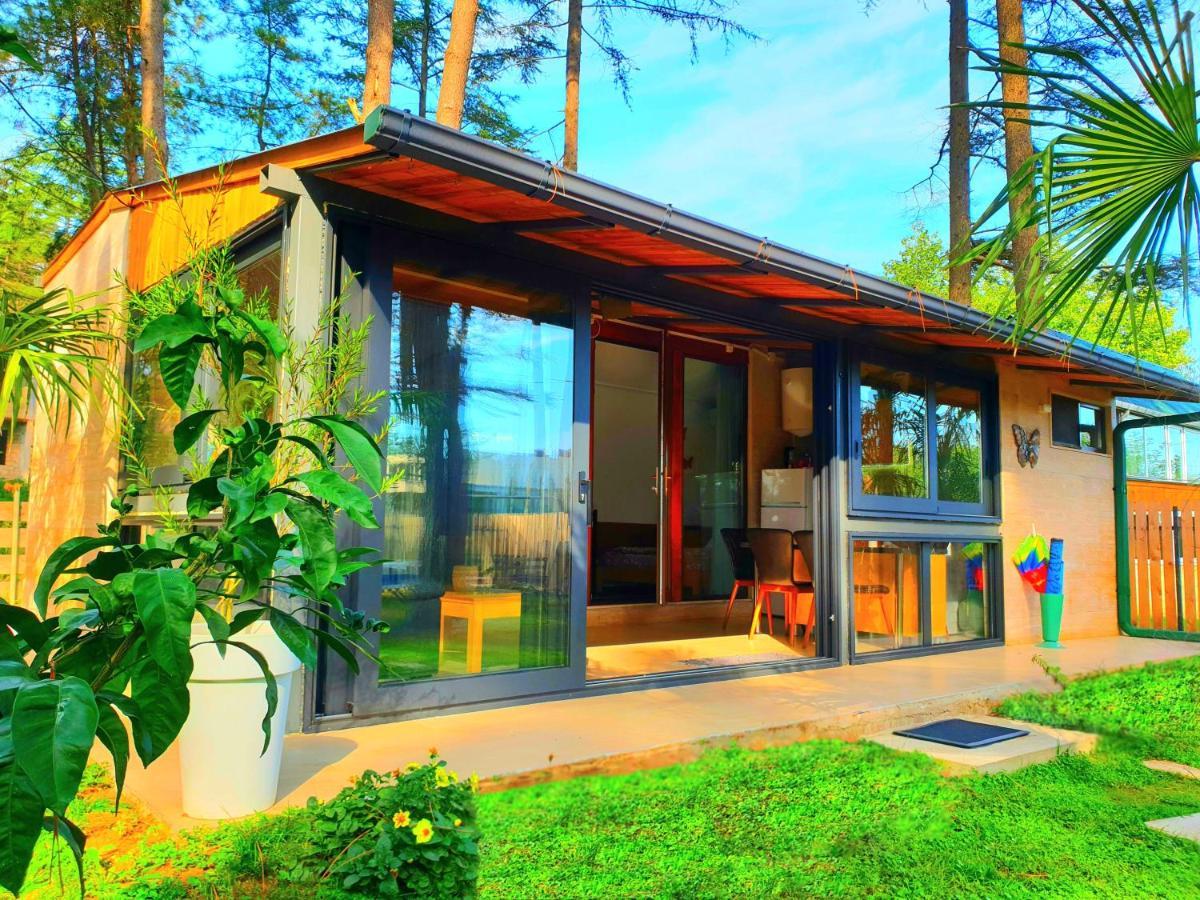 House & Yard Sesil Xs 60M To Beach Ureki Bagian luar foto