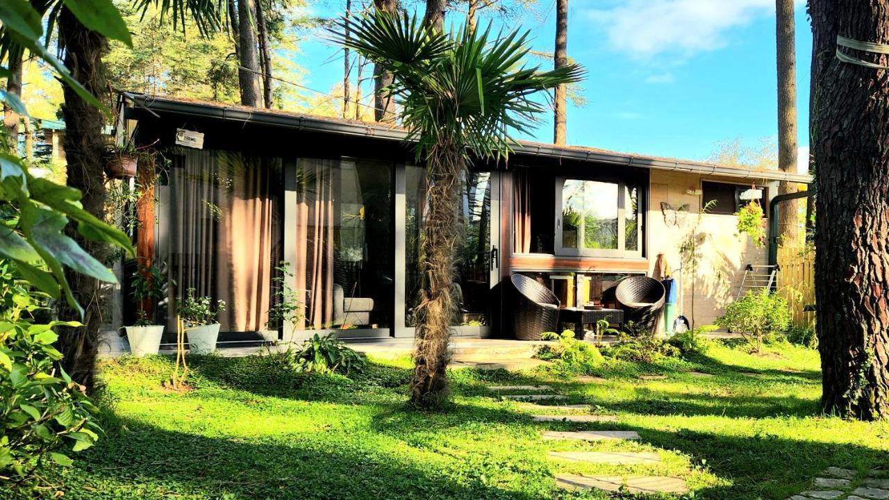 House & Yard Sesil Xs 60M To Beach Ureki Bagian luar foto
